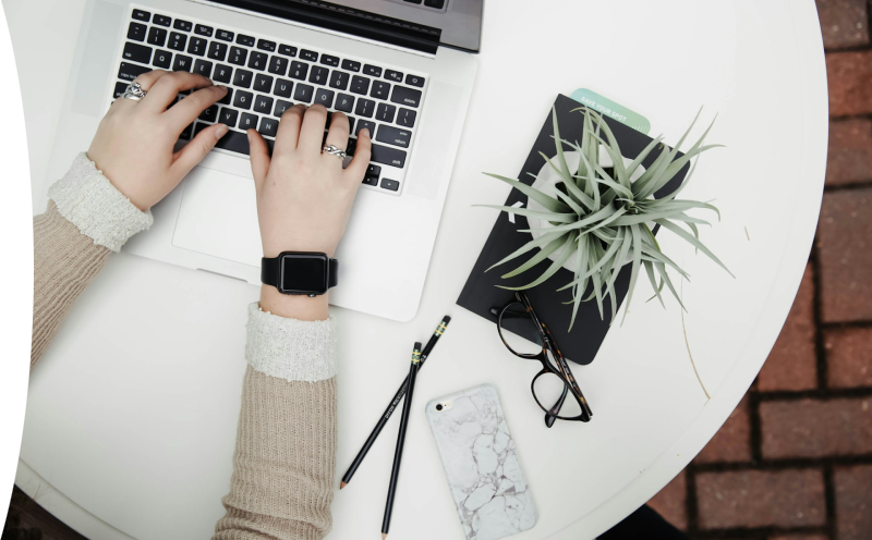 personne utilisant un ordinateur portable à côté d'aloe vera